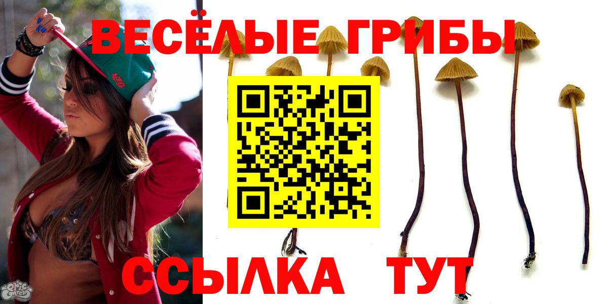 Псилоцибиновые грибы ЛСД Ишимбай