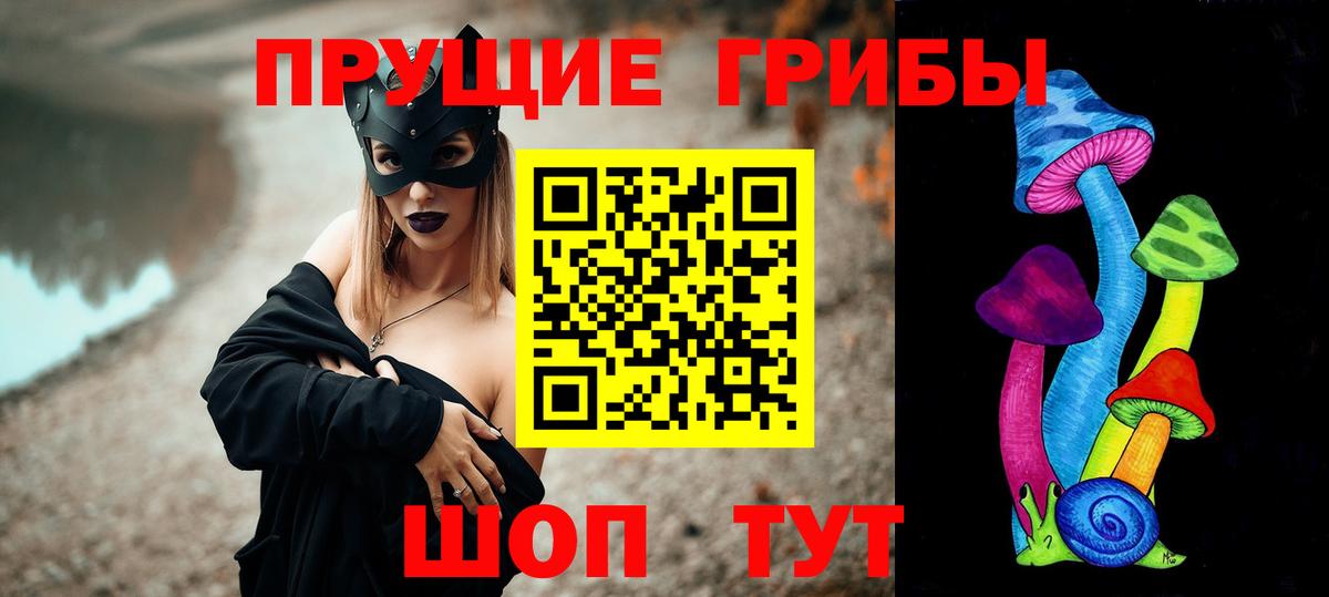 Ишимбай  Галлюциногенные грибы Cubensis  Вход с VPN 